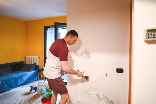 Reliable Schertz, TX Mold Remediation Solutions